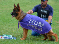Delfina Von Baires Land