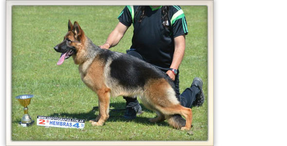 Loreley Von Baires Land